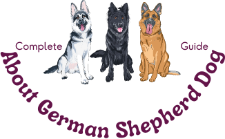 About German Shepherd Dog